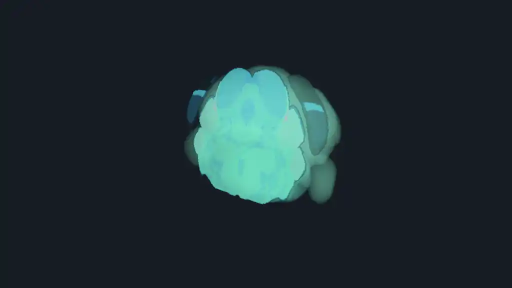 Allen mouse brain volume rendering with anatomical mesh overlays